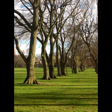Edinburgh Park